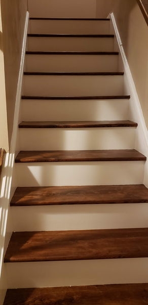 Staircase with stained hardwood treads and painted white risers