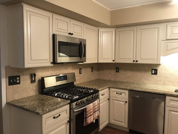 Stainless refrigerator and dishwasher set into cream cabinets with granite counters